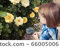 Happy little boy exploring nature with magnifying 66005006