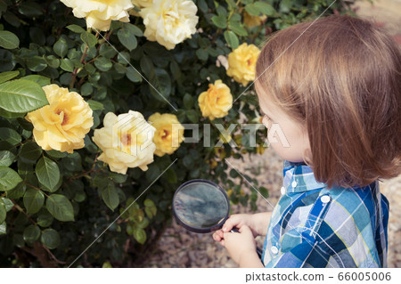 Happy little boy exploring nature with magnifying Happy little boy exploring nature with magnifying 66005006