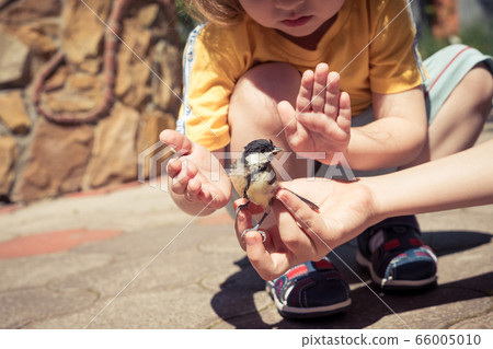 little boy is playing with a chick at the day 66005010