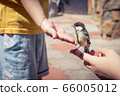 little boy is playing with a chick at the day 66005012