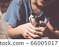 little boy is playing with a chick at the day 66005017