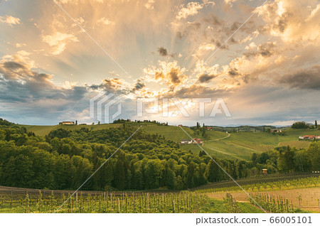 Gamlitz town in Austria Vineyards in Sulztal area Gamlitz town in Austria Vineyards in Sulztal area 66005101