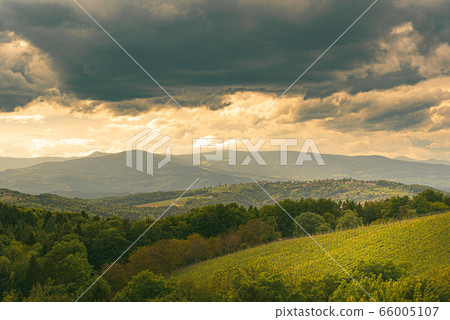 Austria vineyards in spring landscape. Leibnitz 66005107
