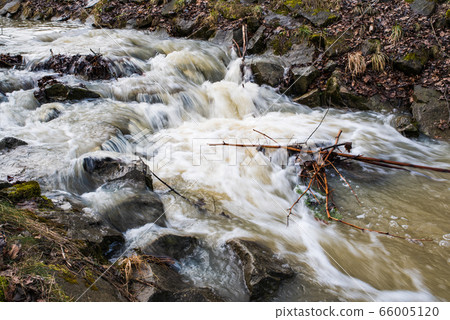 Spring water stream flowing through the forest. 66005120