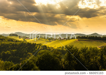 South styria vineyards landscape, near Gamlitz, South styria vineyards landscape, near Gamlitz, 66005183