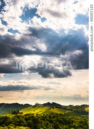 South styria vineyards landscape, near Gamlitz, 66005185
