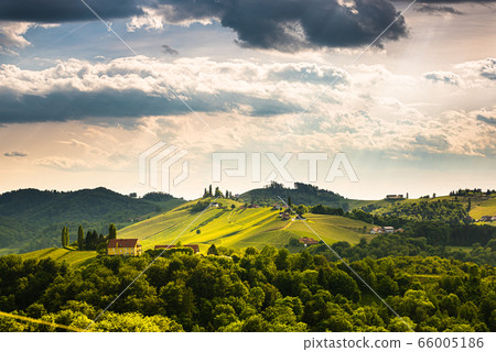 South styria vineyards landscape, near Gamlitz, 66005186