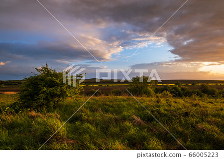 Spring evening meadow after rain 66005223