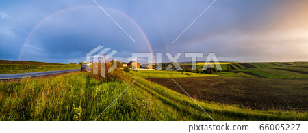 Spring rapeseed and small farmlands fields Spring rapeseed and small farmlands fields 66005227