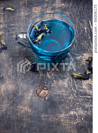 Blue tea Butterfly pea or anchan 66006175
