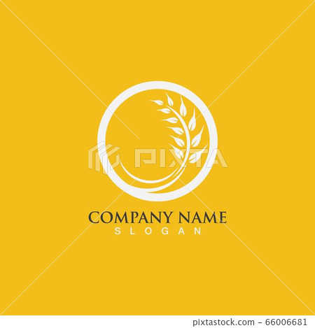 Agriculture wheat vector 66006681