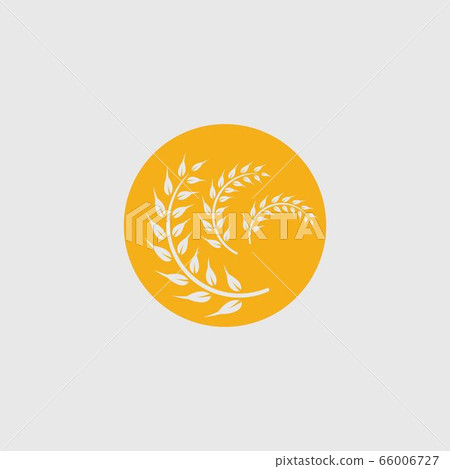 Agriculture wheat vector Agriculture wheat vector 66006727