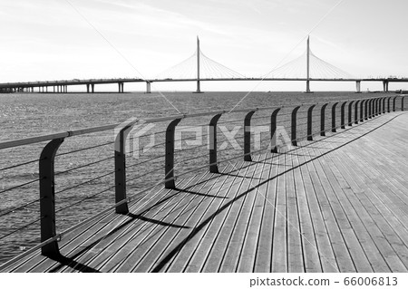 Cable bridge in Saint Petersburg. 66006813