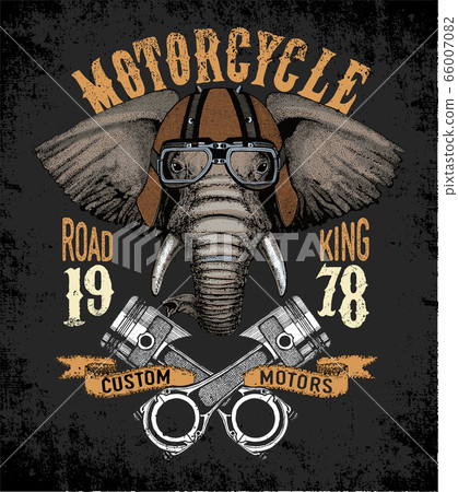 Motorcycle vector typography. Cool animal for t-shirt graphics, vectors. 66007082