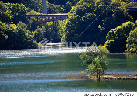 Tsukiyama Lake 66007289