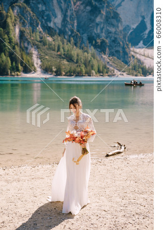 Beautiful bride in a white dress with sleeves and lace, with a yellow autumn bouquet of dried flowers and peony roses, on the Lago di Braies in Italy. Destination wedding in Europe, on Braies lake. Beautiful bride in a white dress with sleeves and lace, with a yellow autumn bouquet of dried flowers and peony roses, on the Lago di Braies in Italy. Destination wedding in Europe, on Braies lake. 66008310
