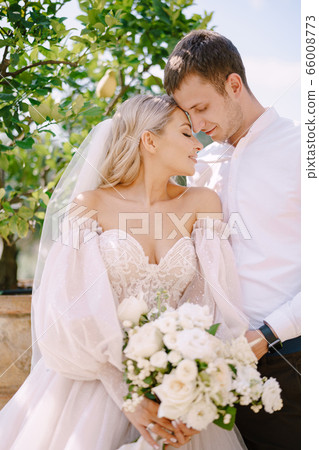 Wedding couple in the garden. The groom hugs the bride near the lemon trees. Wedding in Florence, Italy, in an old villa-winery. 66008773