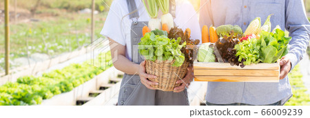 Beautiful young asian woman and man harvest and picking up fresh organic vegetable garden in basket Beautiful young asian woman and man harvest and picking up fresh organic vegetable garden in basket 66009239