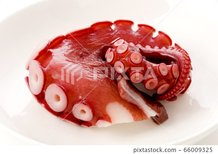 Boiled octopus legs for sashimi 66009325