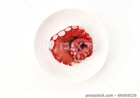 Boiled octopus legs for sashimi Boiled octopus legs for sashimi 66009326