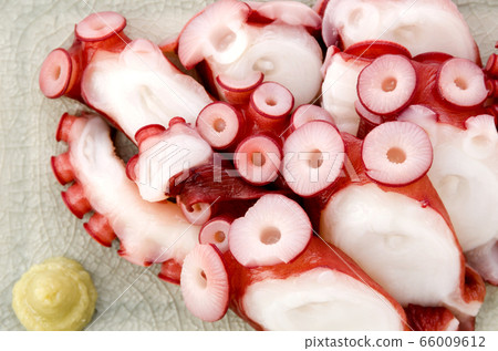Boiled octopus sashimi Boiled octopus sashimi 66009612