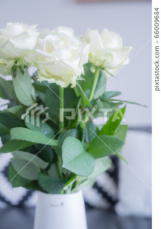玫瑰花瓶，白玫瑰，玫瑰，花瓶，客廳 66009684