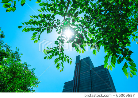 Summer image 66009687