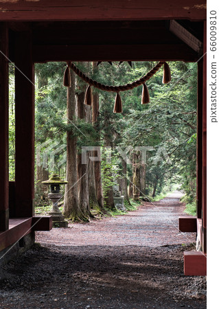 時事神社/大社法 時事神社/大社法 66009810