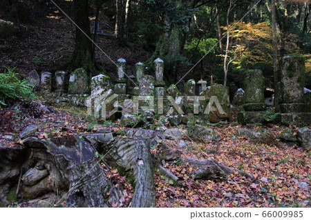 An old grave in the mountains in late autumn 66009985