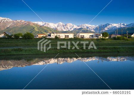 白馬三山在長野縣白馬村水田的水鏡中反射（無人機鳥瞰） 66010191