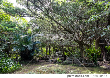 Sonoike Garden 66010484