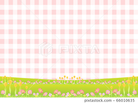 Flower gingham check background 66010635