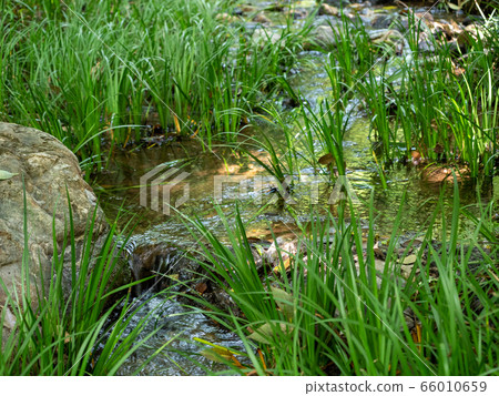 金戴寺的57個涼爽泉水 66010659