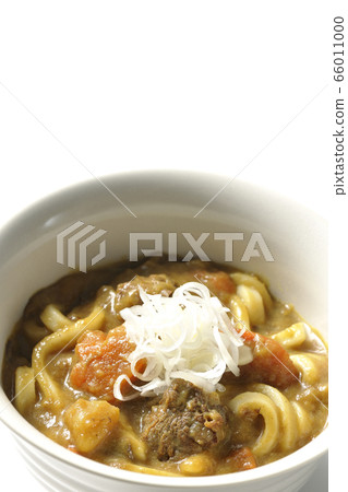 Curry udon  66011000