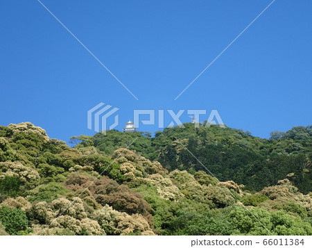 岐阜城堡Kinkazan藍天 岐阜城堡Kinkazan藍天 66011384