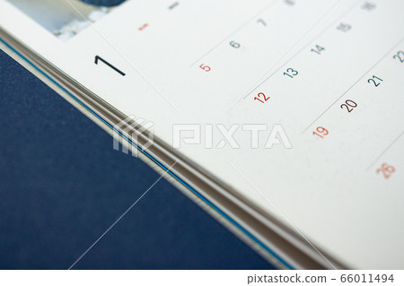 calendar 66011494
