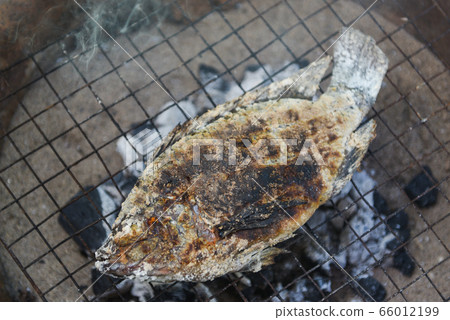 Fish on grill - Close up of tilapia fish grilled Fish on grill - Close up of tilapia fish grilled 66012199
