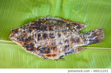 Fish on banana leaf - Close up of tilapia fish Fish on banana leaf - Close up of tilapia fish 66012201