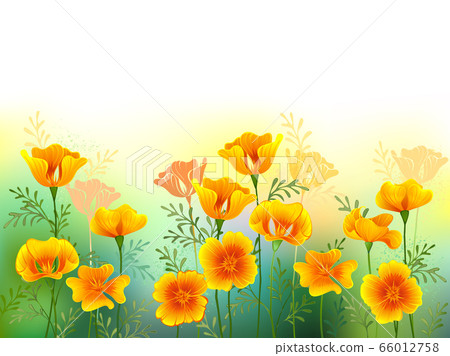 Background with california poppy 66012758