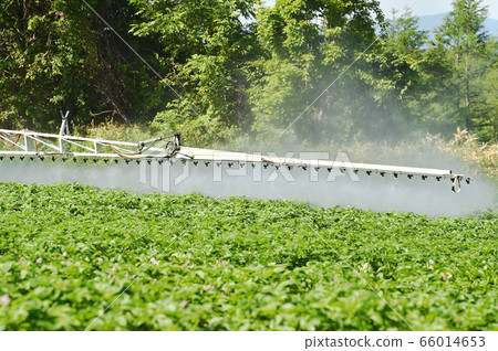 Fields spraying pesticides (Hokkaido) 66014653