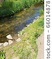 Park stream 66014878