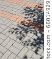 shadow 66014929