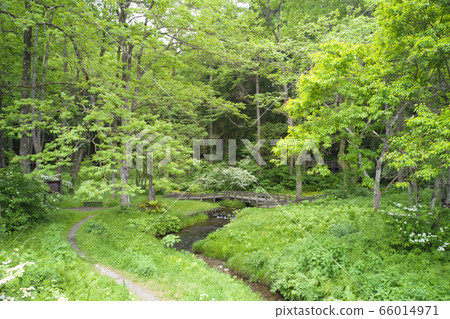 Himekawa Headwaters Nature Exploration Park, Hakuba Village, Nagano Prefecture (aerial view by drone) Himekawa Headwaters Nature Exploration Park, Hakuba Village, Nagano Prefecture (aerial view by drone) 66014971