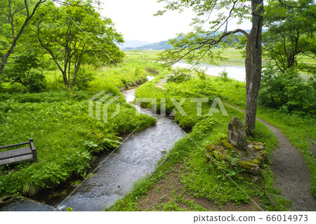 Himekawa Headwaters Nature Exploration Park, Hakuba Village, Nagano Prefecture (aerial view by drone) Himekawa Headwaters Nature Exploration Park, Hakuba Village, Nagano Prefecture (aerial view by drone) 66014973