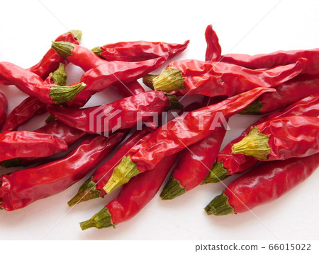 辣椒辣椒鷹爪 66015022
