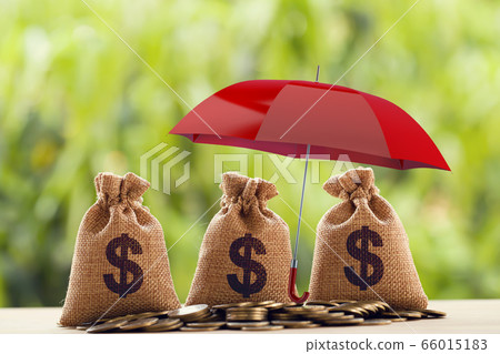 Risk protecting, wealth management and long term money investment, financial concept: Arrange coins and US dollar bag Under the red umbrella. Depicts asset security for sustainable growth. 66015183