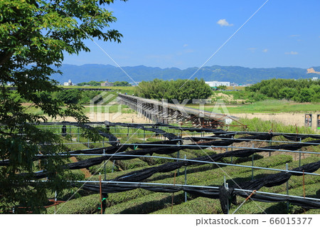 洗淨23次後的``上橋橋''(俗稱:京都府八ata市長橋) 洗淨23次後的``上橋橋''(俗稱:京都府八ata市長橋) 66015377