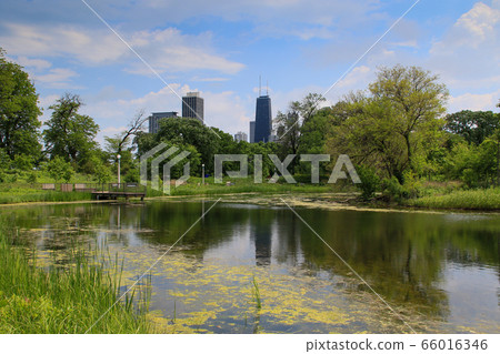 Lincoln Park, Chicago, Illinois, United States Lincoln Park, Chicago, Illinois, United States 66016346