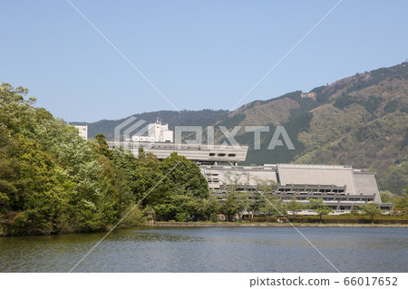 京都市春天寶池 京都市春天寶池 66017652