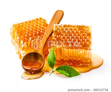 Honeycomb with honey spoon and leaf isolated on white background Honeycomb with honey spoon and leaf isolated on white background 66018736